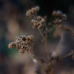 Gallery Photo 10