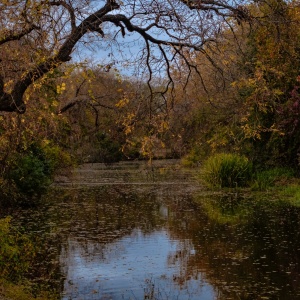 Gallery Photo 14