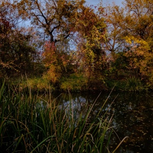 Gallery Photo 16