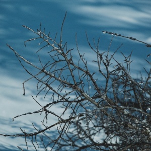 Gallery Photo 11