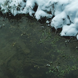 Gallery Photo 17