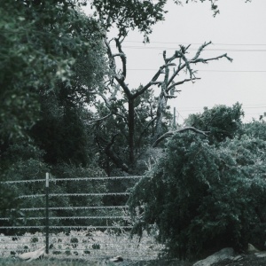 Gallery Photo 2