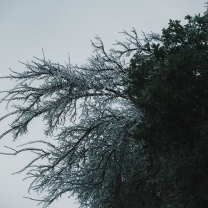 Gallery Photo 4