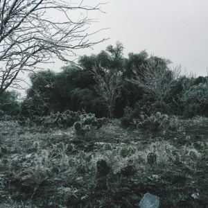 Gallery Photo 9